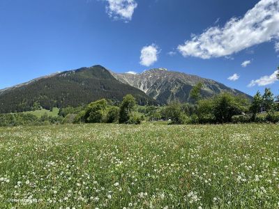 Wanderung-Monbiel-Klosters-Küblis-mit-Blumenwiese