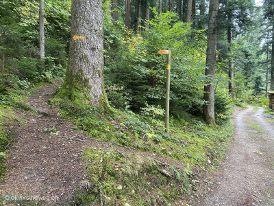 Wanderweg-Wald-Trubschachen