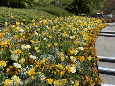 Bodensee-Fahrradtour-Blumenmeer-Mainau