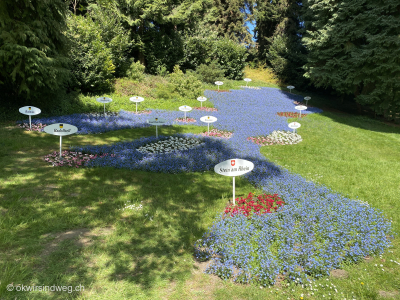 Bodensse-aus-Blumen-Fahrradtour