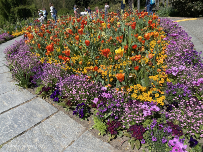 Bodensee-Fahrradtour-Blumenpracht-Mainau