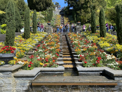 Bodensee-Fahrradtour-Insel-Mainau-Blumenparadies