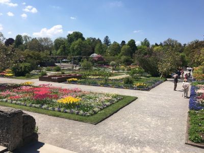 Botanischer Garten München 2