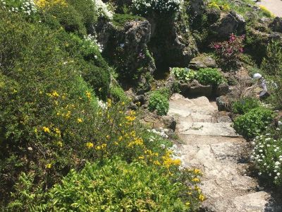 Botanischer Garten München Alpenpflanzen 2