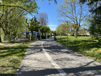 Fahrradweg-am-Bodensee