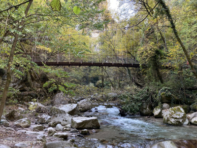 Suedtirol-Lana-Gaulschlucht-Waldhaengebruecke