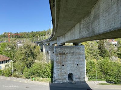 Flusswanderung-Brugg-mit-Aare-und-Höhenweg