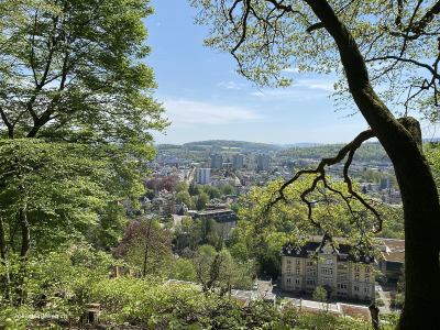 Jura-Höhenweg oberhalb Brugg