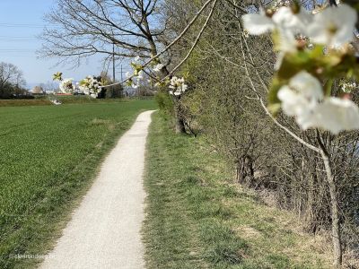 Flusswanderung-an-Aare-Schönenwerd-Niedergösgen-Gretzenbach