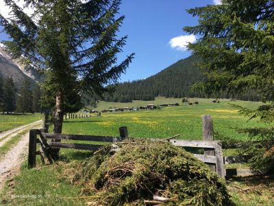 Wanderung-zur-Hängebrücke-Alvagni