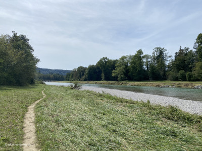 Wanderweg-entlang-der-Thur