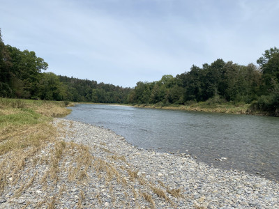 Wanderweg-Thur-Flussufer-Hochwasser