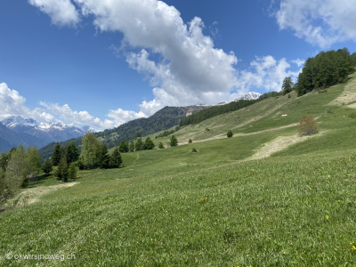Wiese-Wanderung-Engadin-Sent-Scuol-Naluns