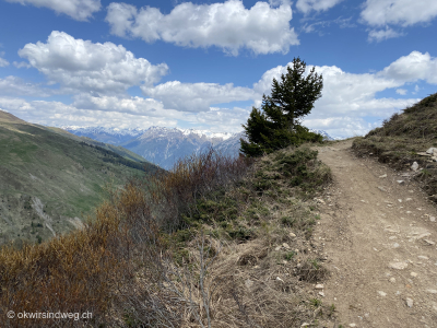 Wanderung-auf-Bergwanderweg-oberhalb-Scuol-bei-Naluns