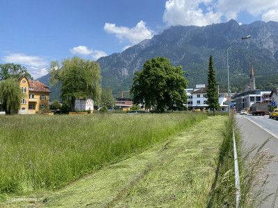 Rundwandeurng-Buchs-Rhein-Schaan