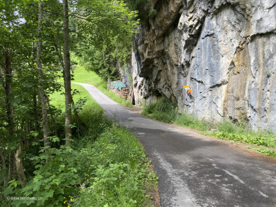 Weg_zur_Cholerenschlucht_Adelboden
