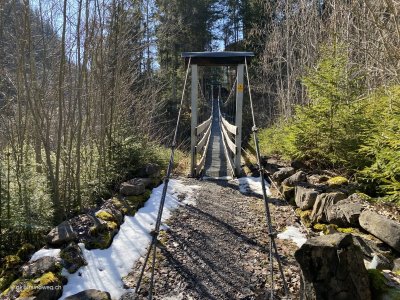 Haengebruecke_Meise_auf_der_Wanderung_Frutigen