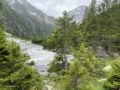 Gasterntal-Baeume