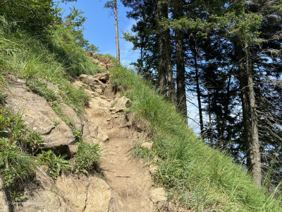 Gsaessweg-Bergwandwerweg-Pilatus