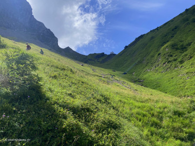 Nauenweg-Gsaessweg-Klimsen-NEU