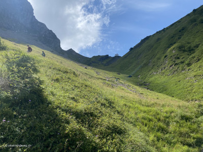 Nauenweg-Gsaessweg-Klimsen