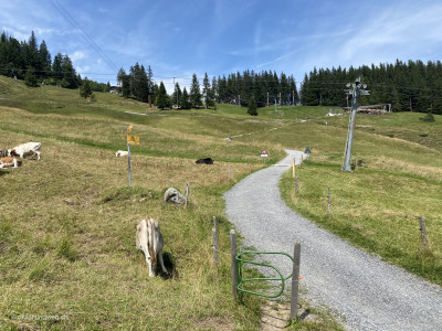 Weg-von-Fraekmuendegg-zur-Alp-Gschwaend-Pilatus