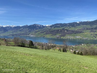 Blick_ueber_Sarnersee