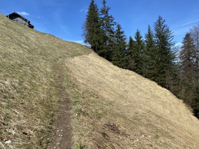 Wiesen_Abhang_Steiler_Wanderweg_Zentralschweiz