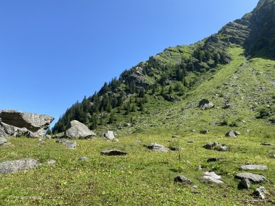 Wanderung_zur_Gaulihuette