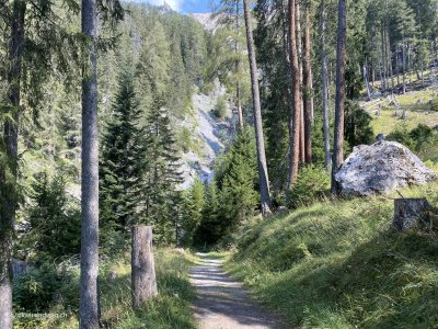 Wanderweg_Lantsch_Buendnerland_Albulathal