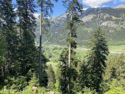 Aussicht-auf-Wanderung-zwischen-Monbiel-Klosters-Küblis