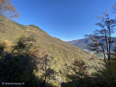 Wanderung-Monte-Carasso-Haengebruecke-Carasc