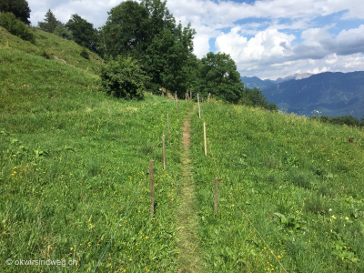 Wanderausflug-Walserberg