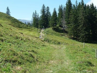 Wanderweg-Heitertannliweg