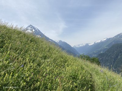 Silenen-Golzern_Wanderung