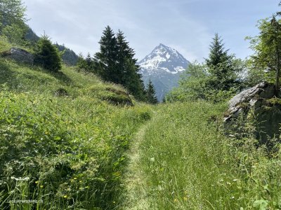 Bristen_Wanderung_Silenen_Golzern