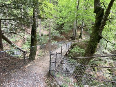 Brücke-über-Buuschebach-im-Simmental