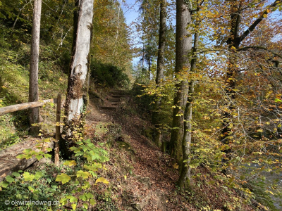 Steiler-Aufstieg-von-der-Zulg-zum-Ober-Emberg-