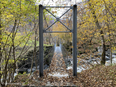 Wandeurng-Haengebruecke_inmitten_Kastanienwaelder_Tessin