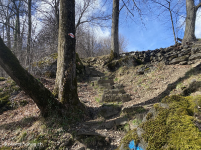 Tessin-Wanderung-Bleniotal-Wald-Wanderweg