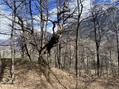 Wanderweg-zum-zur-Kirche-di-Negrentino