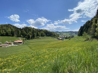 Wanderung-Thun-Cholereschlucht