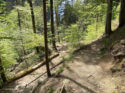 Thun-Wanderung-durch-Cholereschlucht