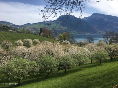 Spiez-Wanderung