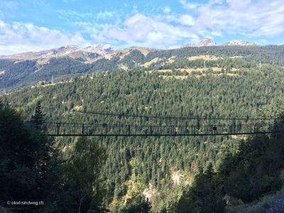 Torrent-Neuf-Hängebrücke4