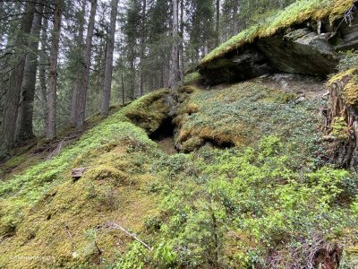 maerchenwanderung-durch-maerchenwald