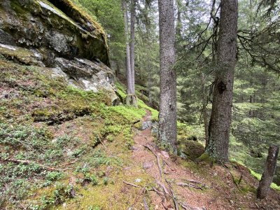 Maerchenwanderweg-Innerferrera-Andeer