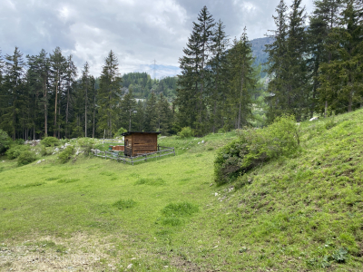 Bienenhaus-Wanderung-Engadin