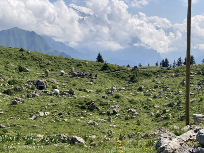 oben-auf-der-schynige-platte