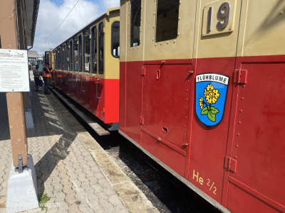 Zug_Eisenbahn_Bahnhof_Schynige-Platter-Berner-Oberland